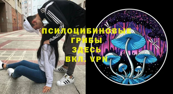 хмурый Богданович