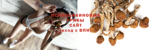ГАЛЛЮЦИНОГЕННЫЕ ГРИБЫ Богородск
