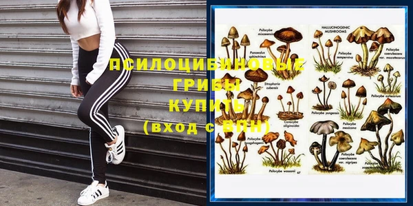 ALPHA PVP Богородицк