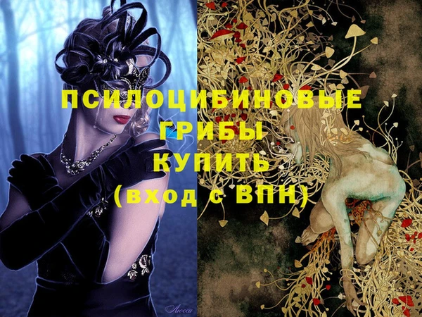 ГАЛЛЮЦИНОГЕННЫЕ ГРИБЫ Богородск