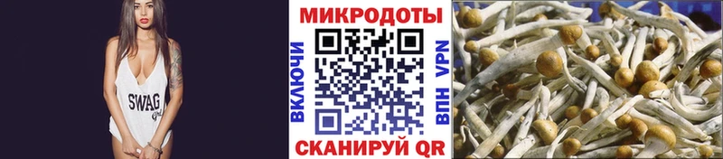 Галлюциногенные грибы GOLDEN TEACHER  площадка формула  Тосно 