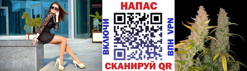 hydra ссылки  купить   Тосно  Канабис OG Kush 